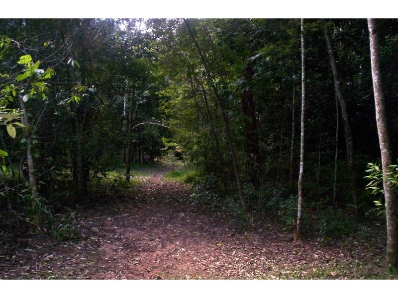 114 Diddillibah Road, Woombye QLD 4559