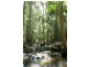 36 EDWIN ROAD, Buderim QLD 4556
