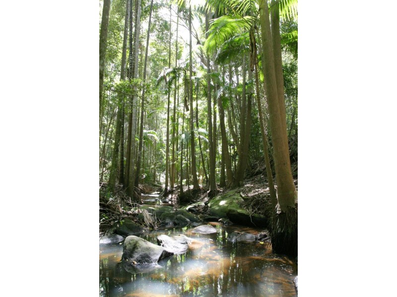 36 EDWIN ROAD, Buderim QLD 4556