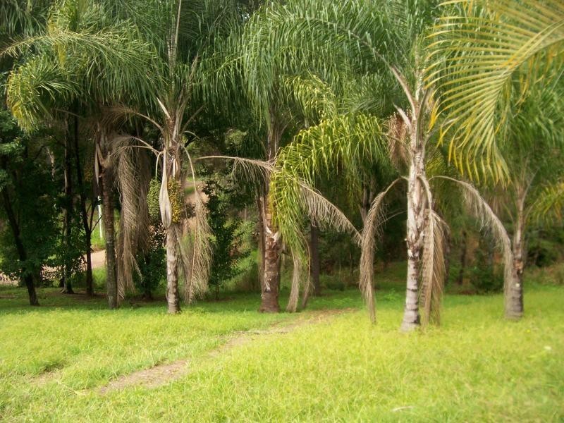 14-22 Christensens Road, Palmwoods QLD 4555
