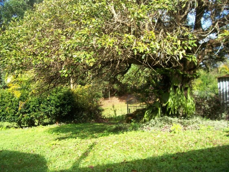 16 TYTHERLEIGH ROAD, Palmwoods QLD 4555