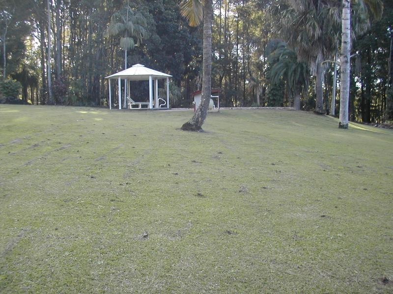 274 Yandina Cooloolabin Road, Yandina QLD 4561