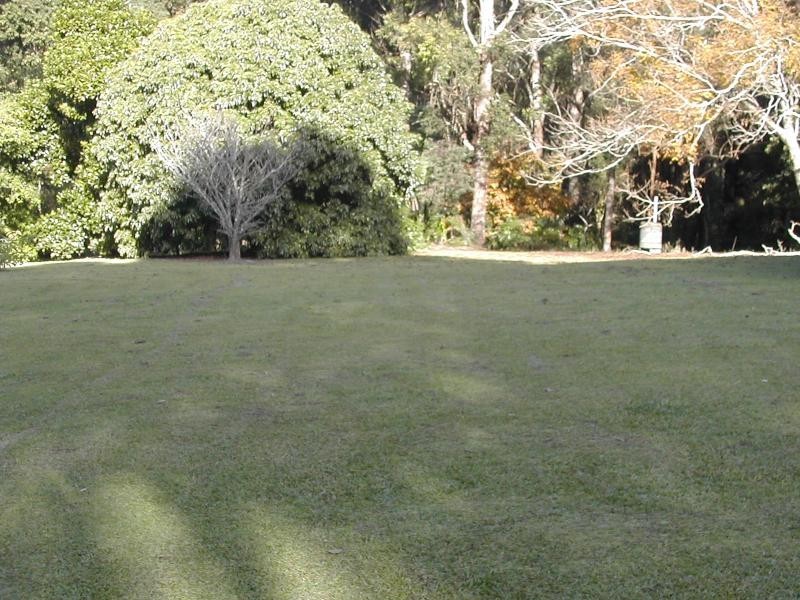 274 Yandina Cooloolabin Road, Yandina QLD 4561