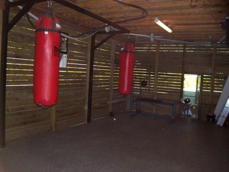 14 PARKWOOD PLACE, Palmwoods QLD 4555