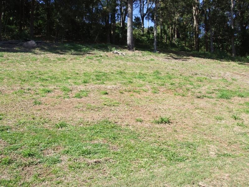 21 RINGTAIL PLACE, Bli Bli QLD 4560