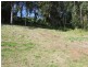 21 RINGTAIL PLACE, Bli Bli QLD 4560