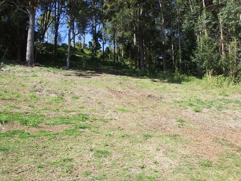 21 RINGTAIL PLACE, Bli Bli QLD 4560