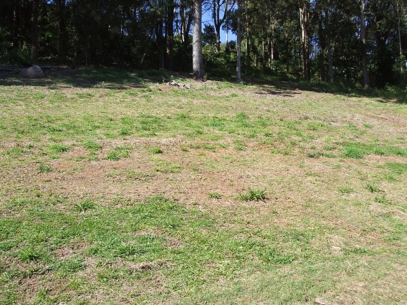 21 RINGTAIL PLACE, Bli Bli QLD 4560