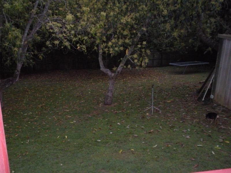 70 Main St, Palmwoods QLD 4555