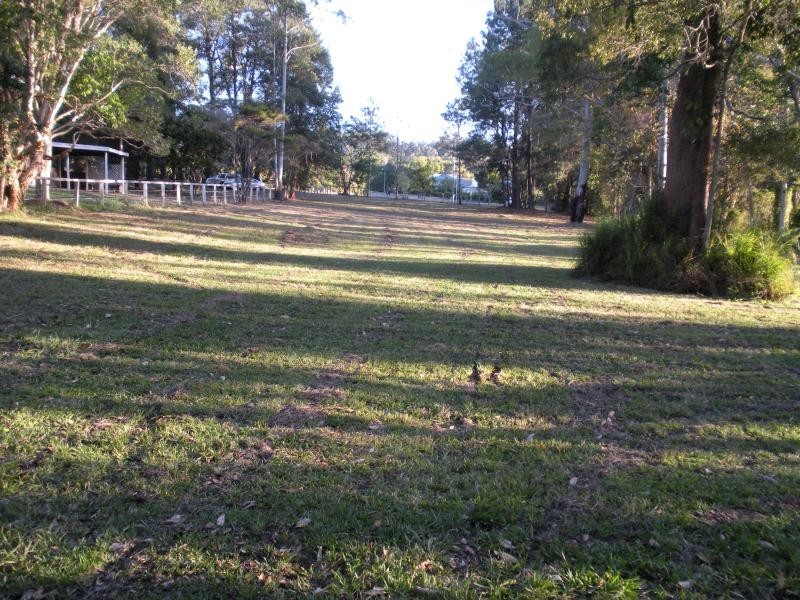 55 Palmwoods School Road, Palmwoods QLD 4555