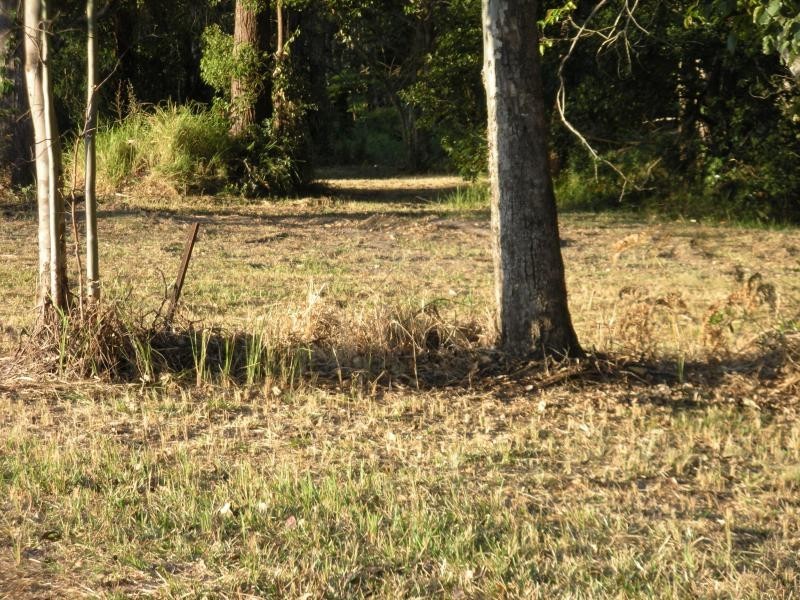 55 Palmwoods School Road, Palmwoods QLD 4555