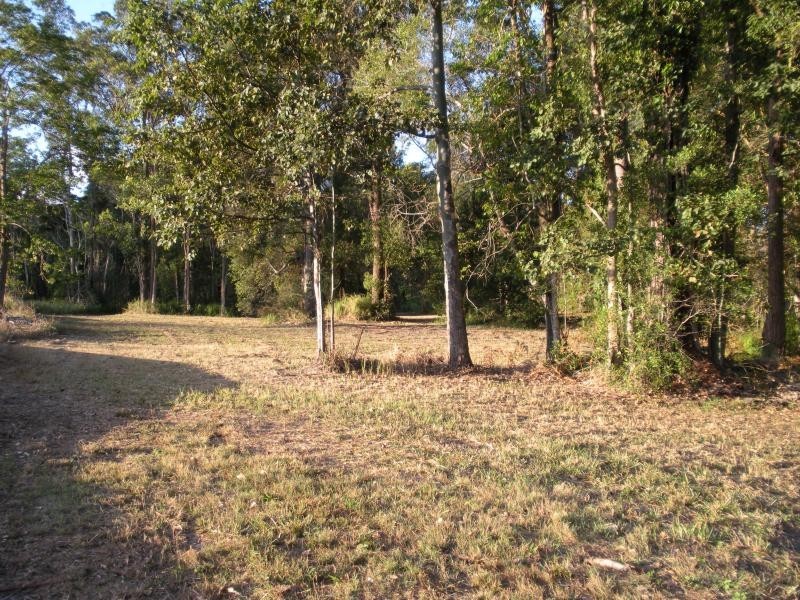 55 Palmwoods School Road, Palmwoods QLD 4555