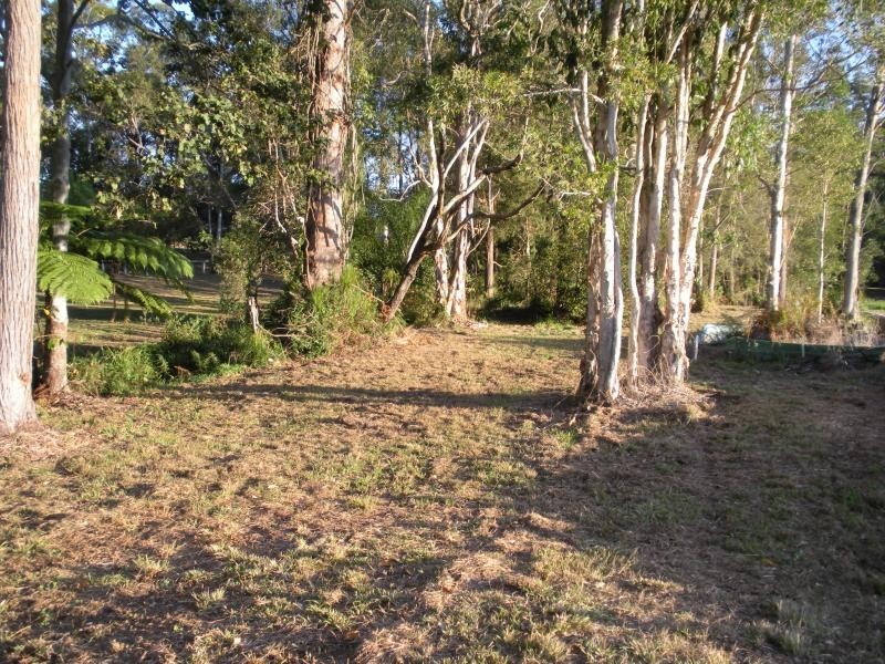 55 Palmwoods School Road, Palmwoods QLD 4555