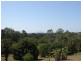 739 Diddillibah Road, Diddillibah QLD 4559