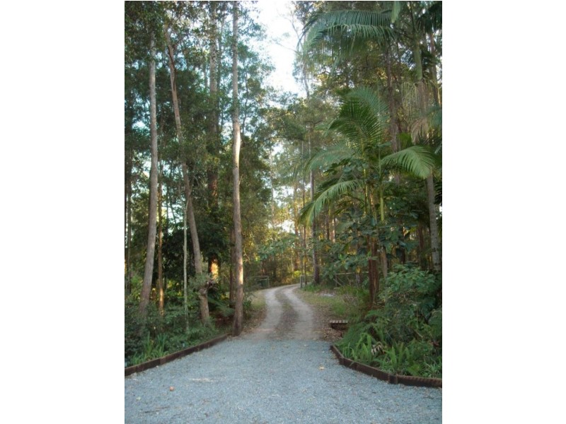 Palmwoods QLD 4555