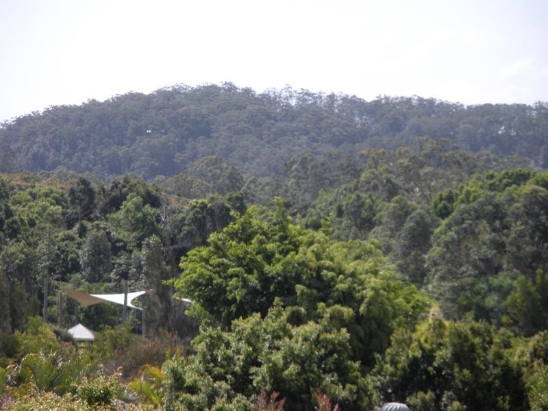 56 Palmwoods Montville Road, Palmwoods QLD 4555