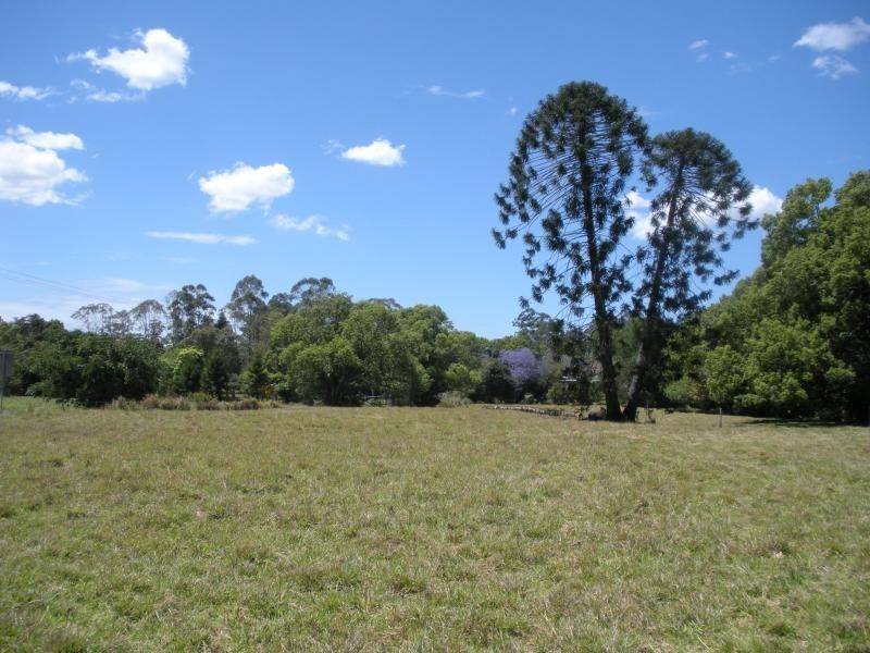 184 Palmwoods Montville Road, Palmwoods QLD 4555