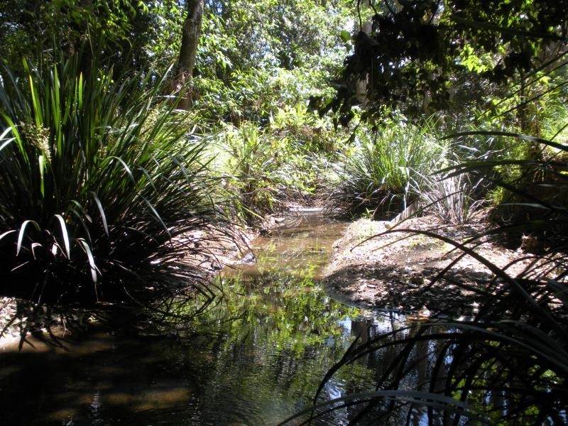 184 Palmwoods Montville Road, Palmwoods QLD 4555