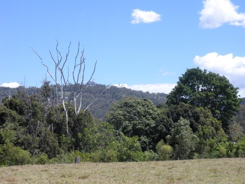 184 Palmwoods Montville Road, Palmwoods QLD 4555