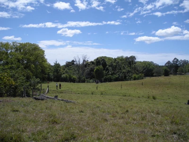 184 Palmwoods Montville Road, Palmwoods QLD 4555