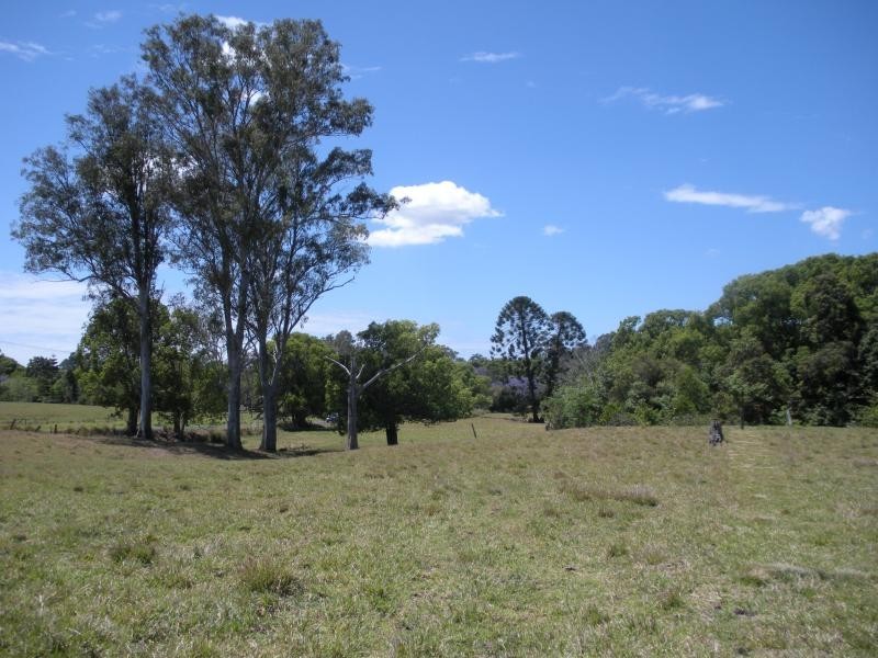 184 Palmwoods Montville Road, Palmwoods QLD 4555