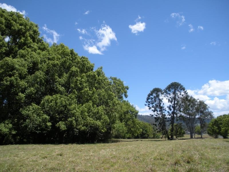 184 Palmwoods Montville Road, Palmwoods QLD 4555