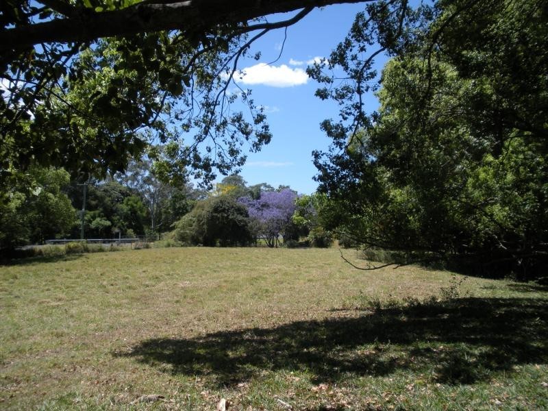 184 Palmwoods Montville Road, Palmwoods QLD 4555