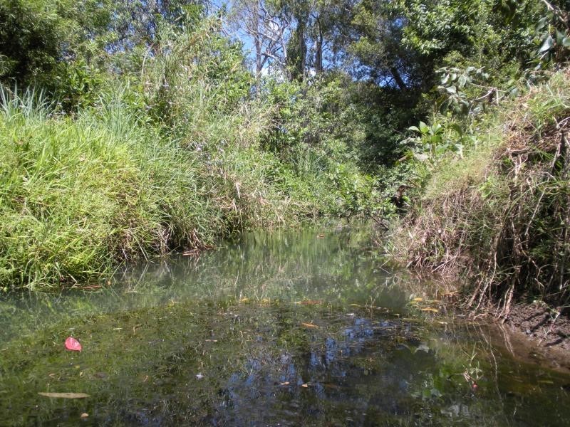 184 Palmwoods Montville Road, Palmwoods QLD 4555