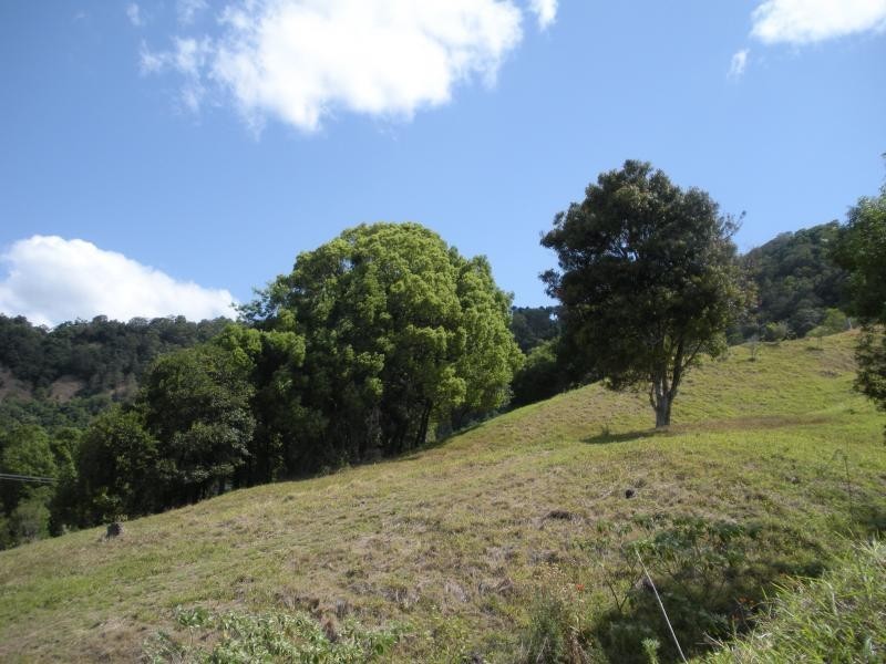 Hunchy QLD 4555
