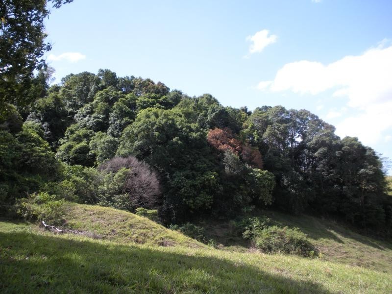Hunchy QLD 4555