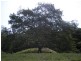 Hunchy QLD 4555