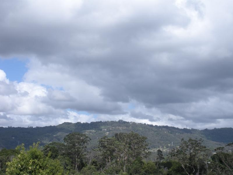 22 Gallows Place, Palmwoods QLD 4555