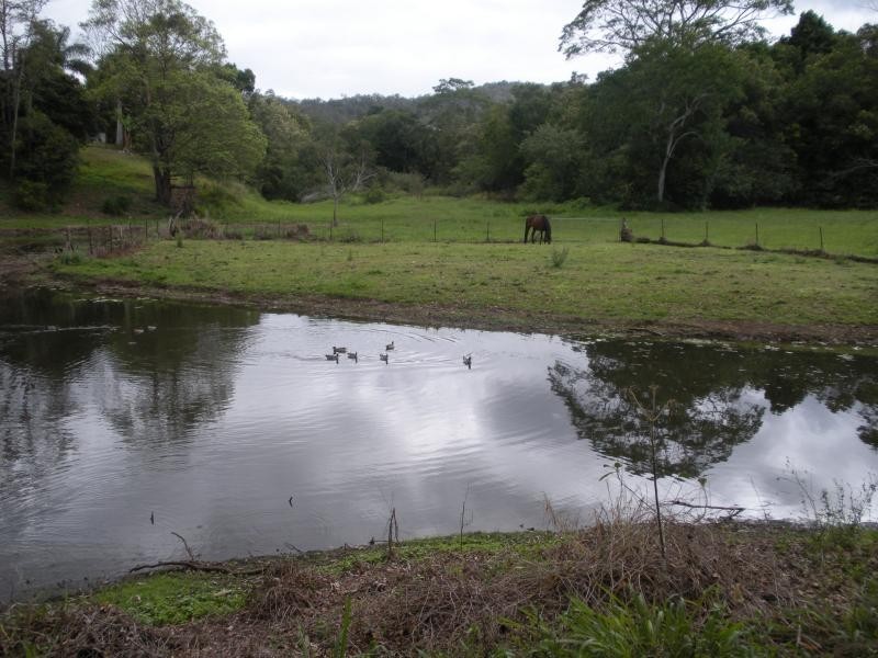 Mooloolah Valley QLD 4553