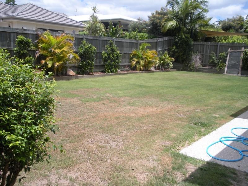 16 Rimmel Place, Palmwoods QLD 4555