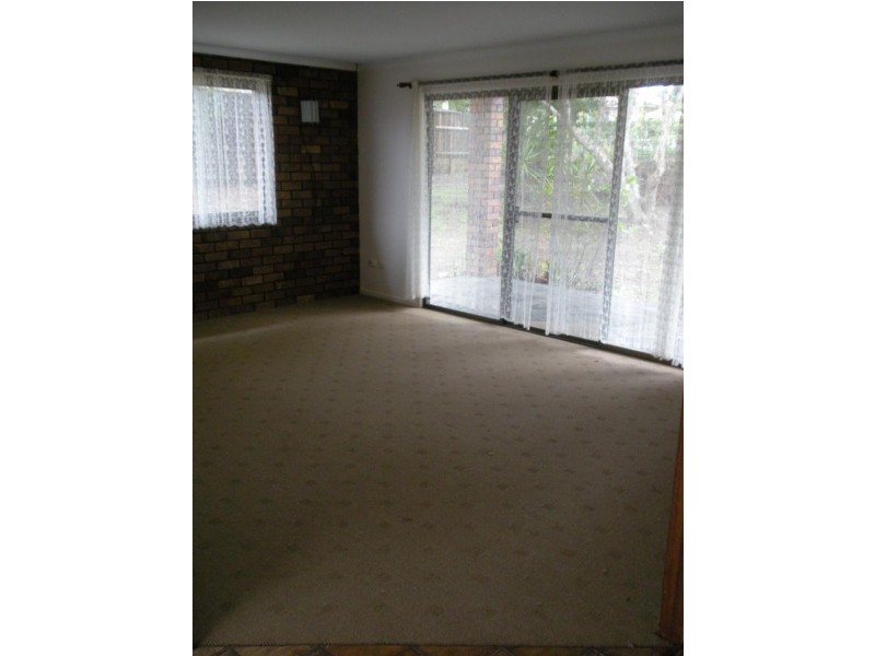 55 Palmwoods School Road, Palmwoods QLD 4555