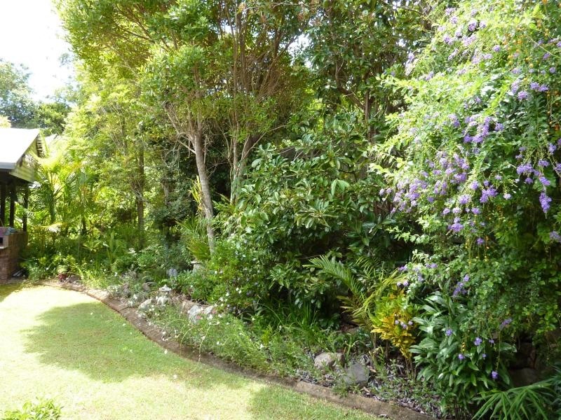 3 Camelia Court, Palmwoods QLD 4555
