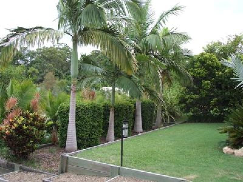 18 Petigrain Avenue, Palmwoods QLD 4555