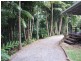 20 Taronga Place, Palmwoods QLD 4555