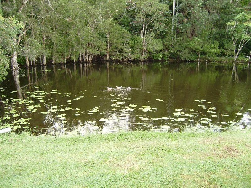 16 Ferntree Creek Road, Kulangoor QLD 4560