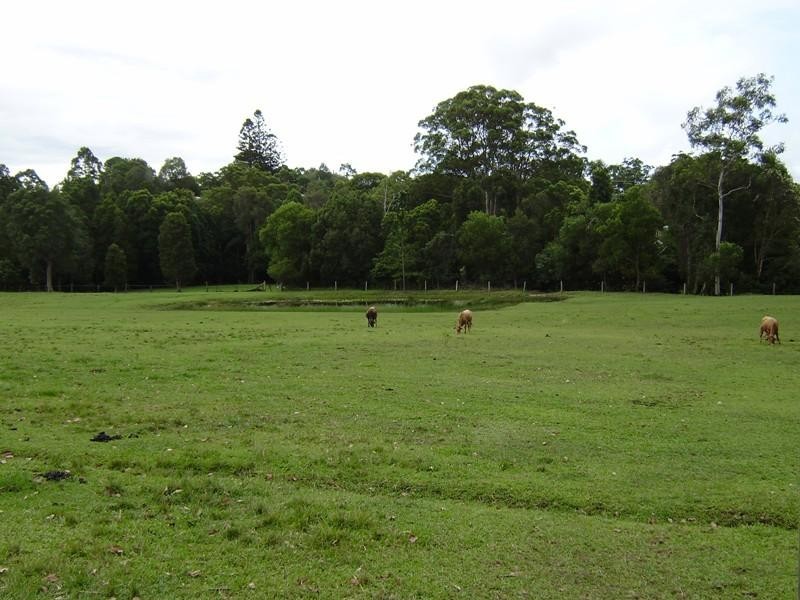 16 Ferntree Creek Road, Kulangoor QLD 4560