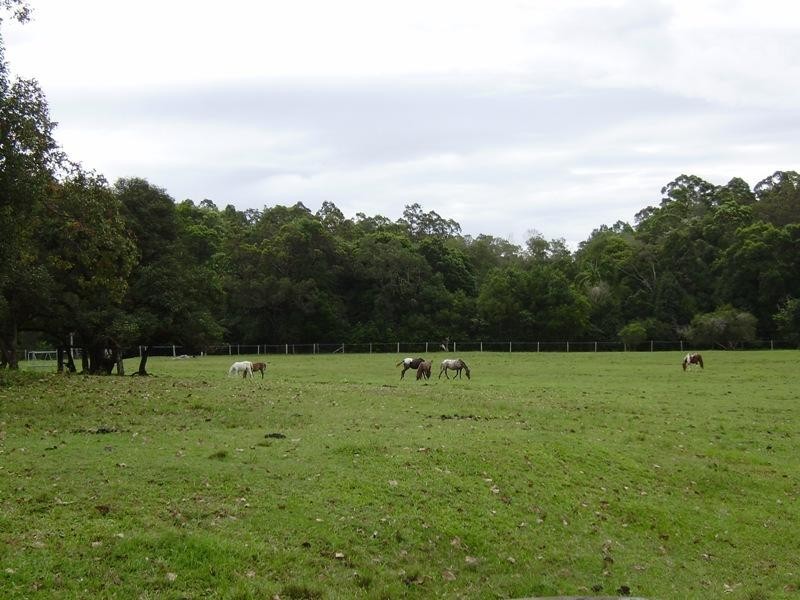 16 Ferntree Creek Road, Kulangoor QLD 4560