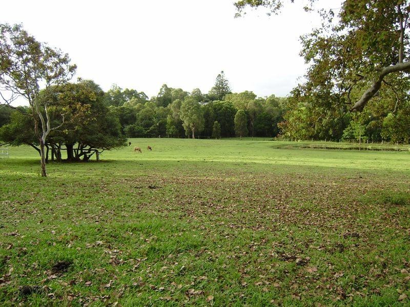 16 Ferntree Creek Road, Kulangoor QLD 4560