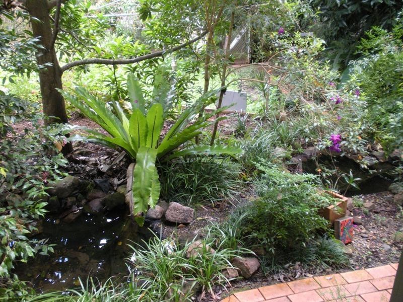 69 Chevallum Road, Palmwoods QLD 4555