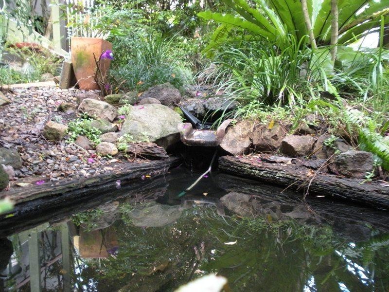 69 Chevallum Road, Palmwoods QLD 4555