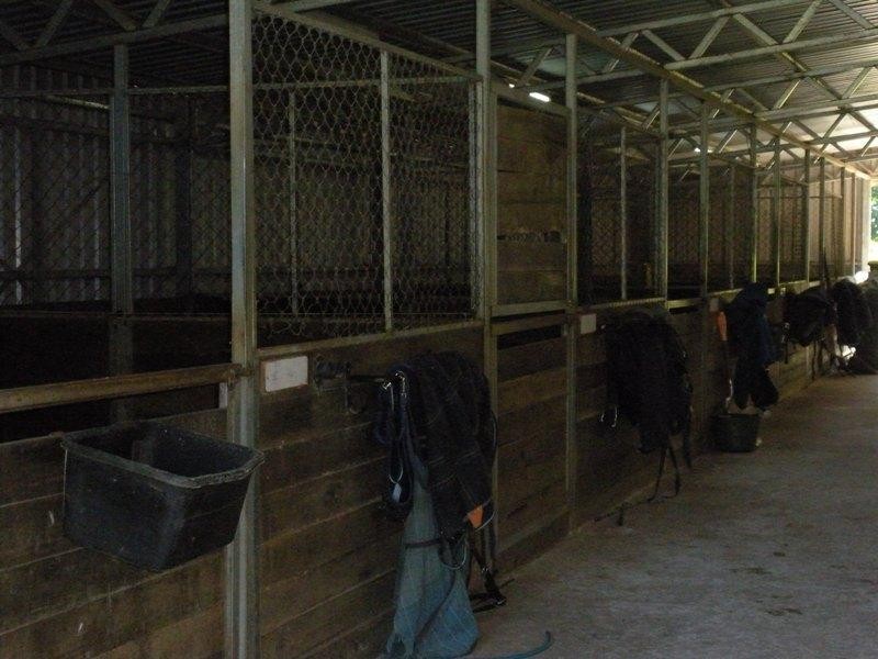 76 Ilkley Road, Eudlo QLD 4554