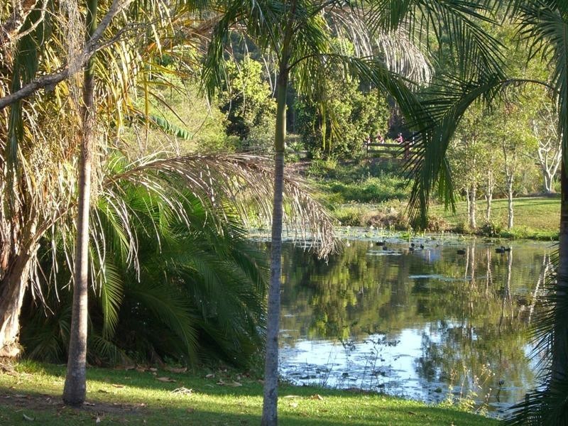 16 Flame Tree Court, Palmwoods QLD 4555