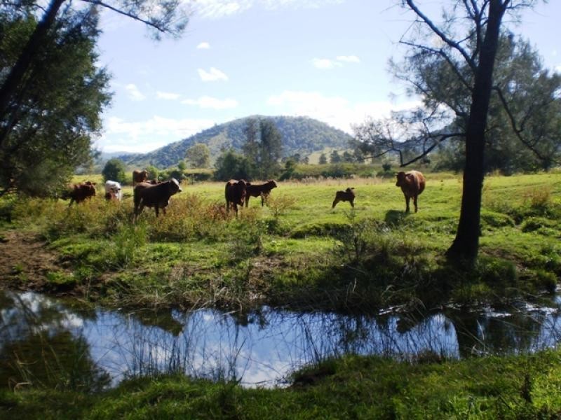 176 Cookes Road, Maleny QLD 4552