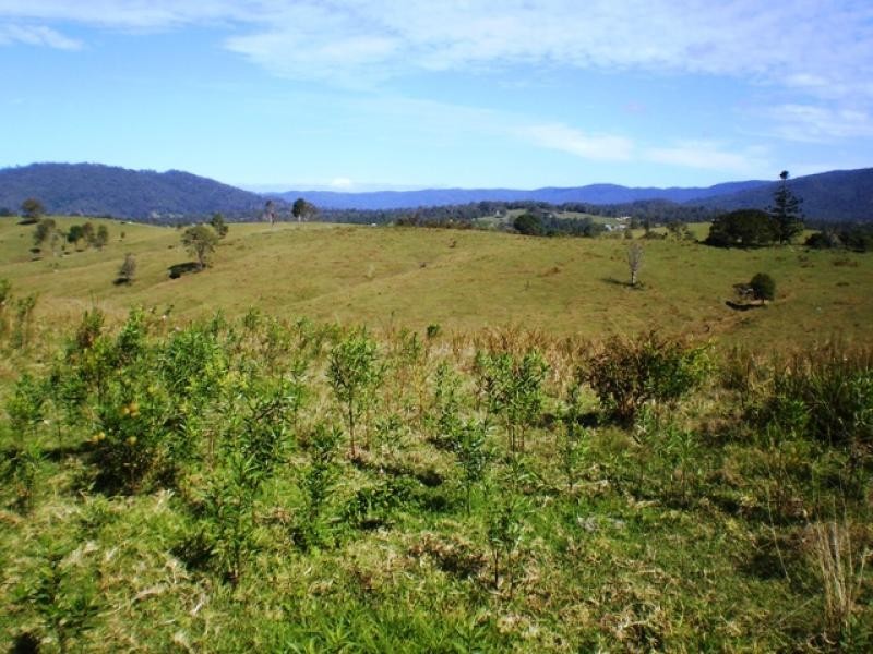 176 Cookes Road, Maleny QLD 4552