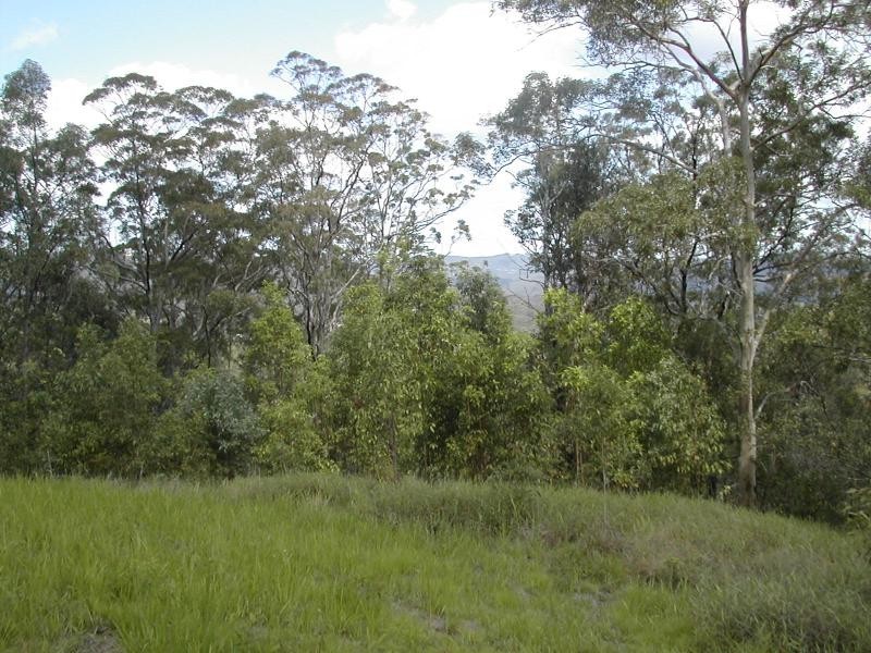 Lot 4 Tunnel Ridge Road, Mooloolah Valley QLD 4553