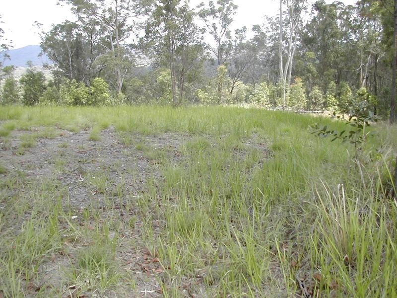 Lot 4 Tunnel Ridge Road, Mooloolah Valley QLD 4553